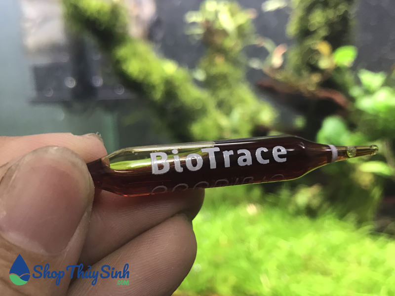 BioTrace thức ăn dinh dưỡng cho vi sinh chính hãng ProDibio