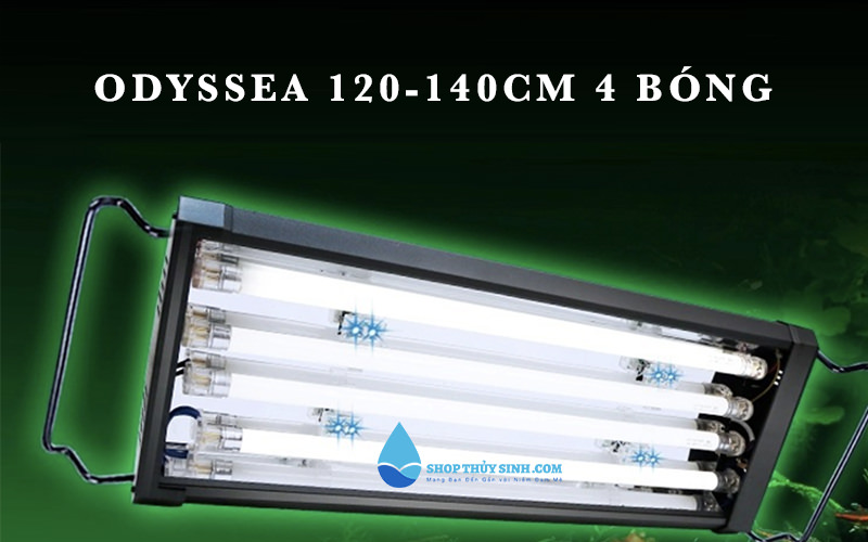 Đèn Odyssea 120-140cm 4 bóng