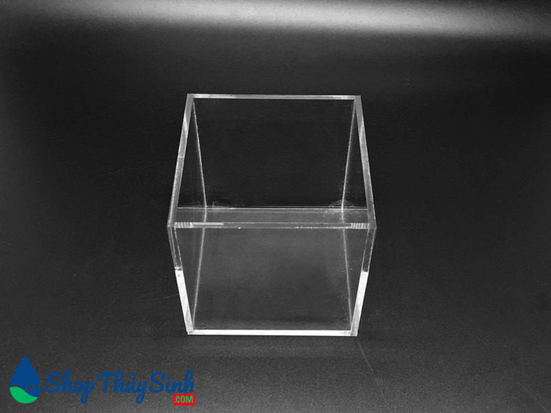 Bể cá mini chất liệu Acrylic dùng show cá cubic 10cm