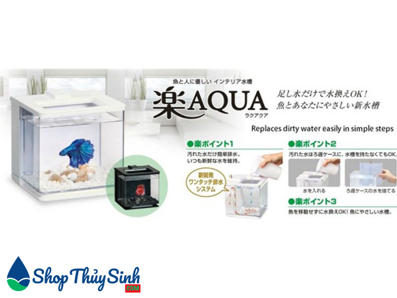 Bể cá mini dành cho cá Beta Gex Easy Aqua Tank