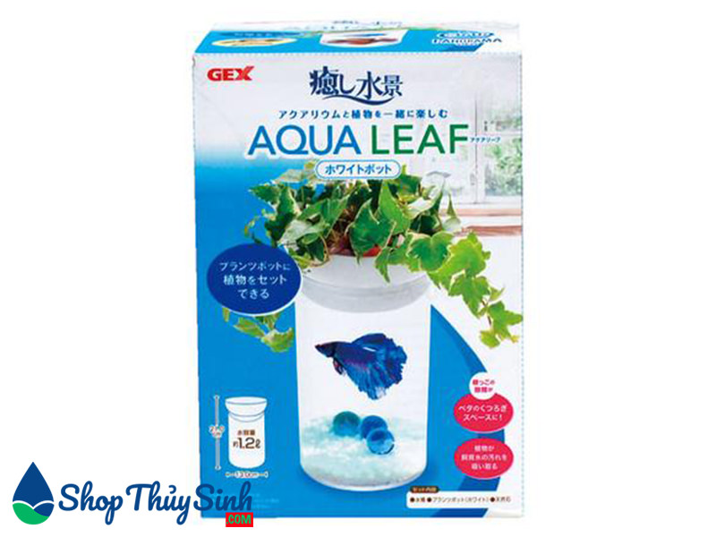 Bể cá mini tròn cho cá Beta Gex Aqua Leaf