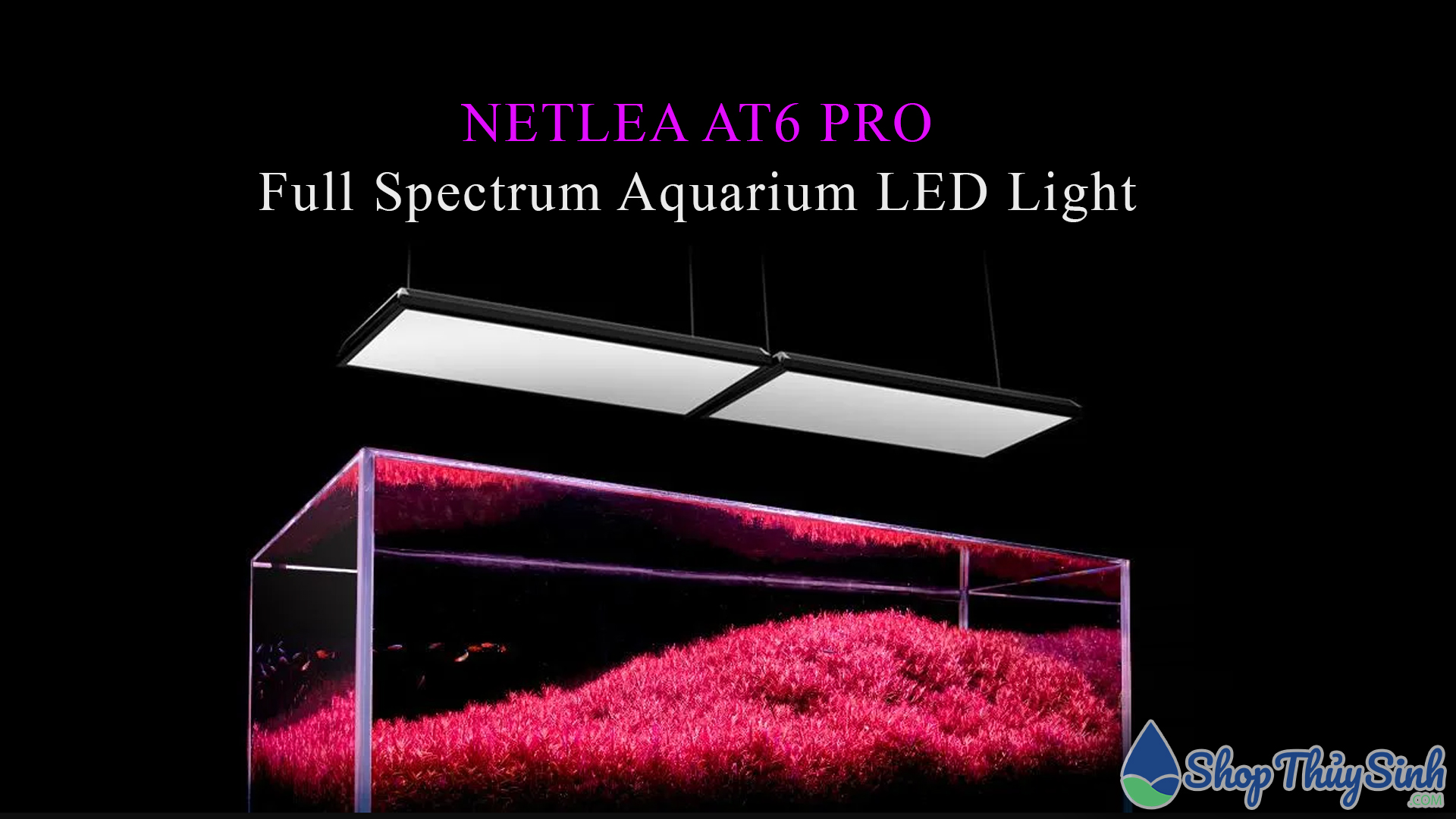 Đèn Netlea AT6 Pro Full Spectrum với công nghệ LED 7 in 1