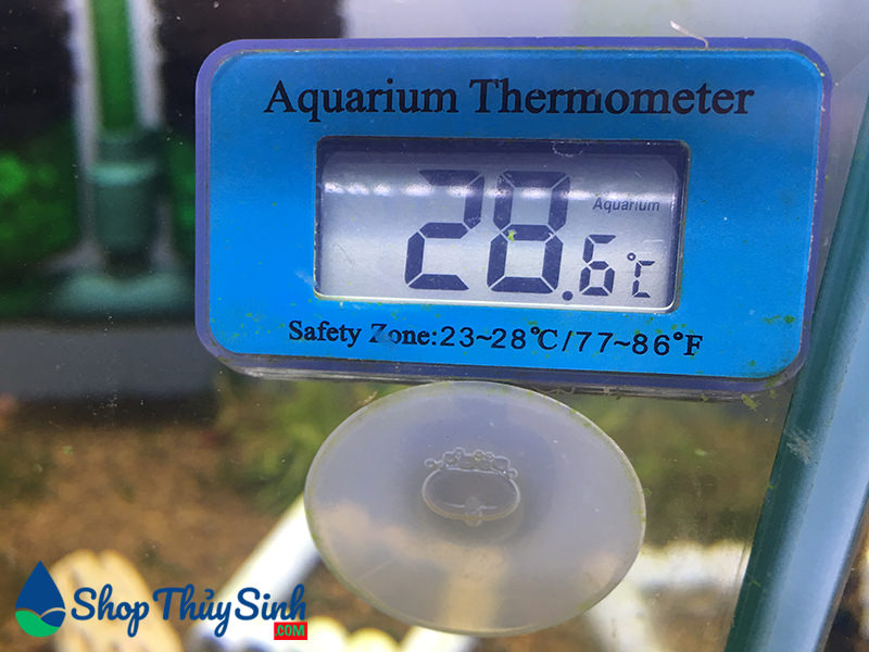 Đồng hồ điện tử đo nhiệt độ cho bể cá Up Aqua A931 - Giá Sendo khuyến mãi:  63,000đ - Mua ngay! - Tư vấn mua sắm & tiêu dùng trực tuyến Bigomart
