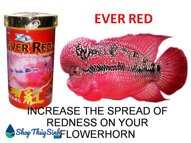 Thức ăn cho cá cảnh La Hán XO EVER RED