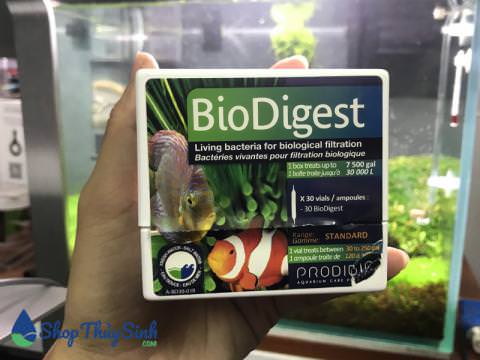 Vi sinh sống BioDigest giúp xử lý sạch nguồn nước